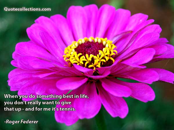 Roger Federer Quotes1
